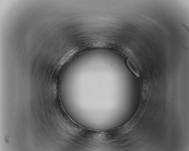 X0000103300116200809051531