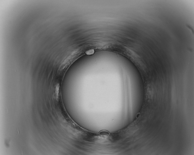 X0000103300118200809051531