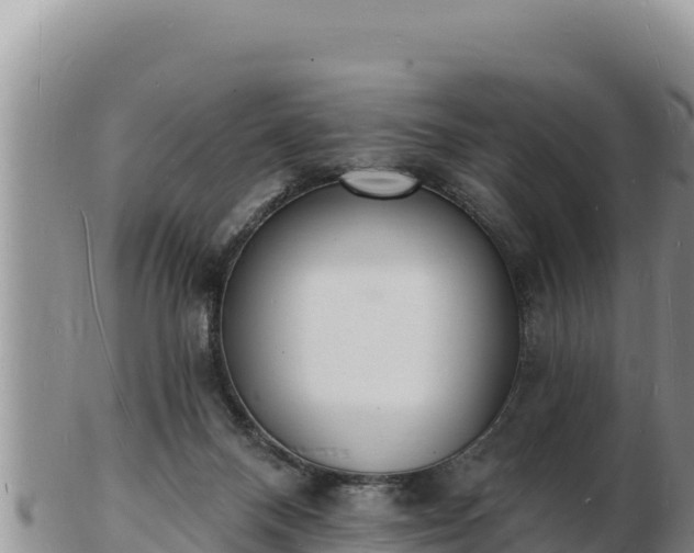 X0000103300120200809051531