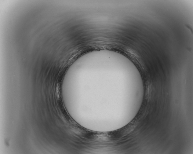 X0000103300121200809051531