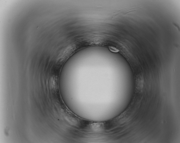 X0000103300126200809051531