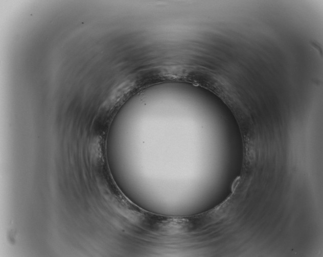 X0000103300128200809051531