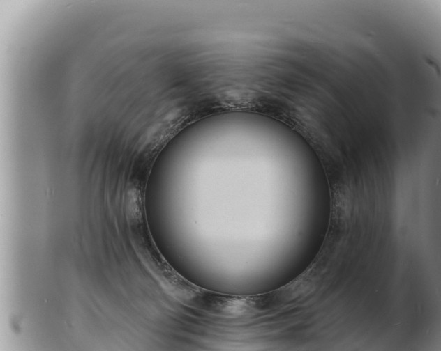 X0000103300130200809051531