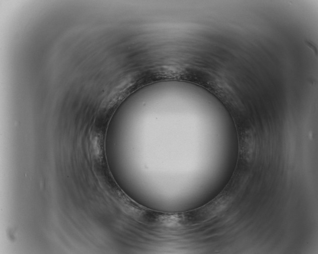 X0000103300131200809051531