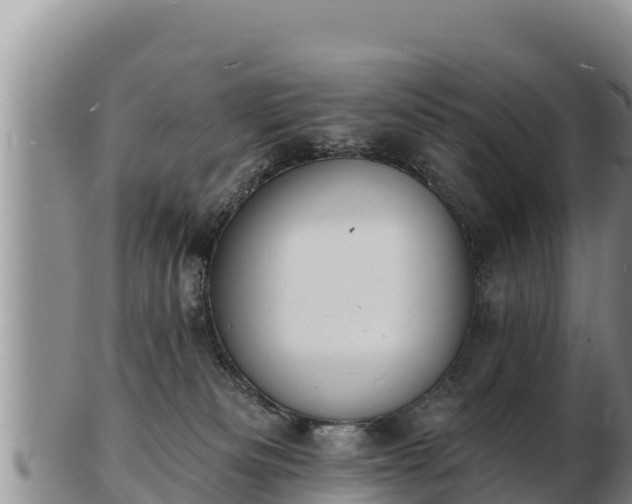 X0000103300133200809051531