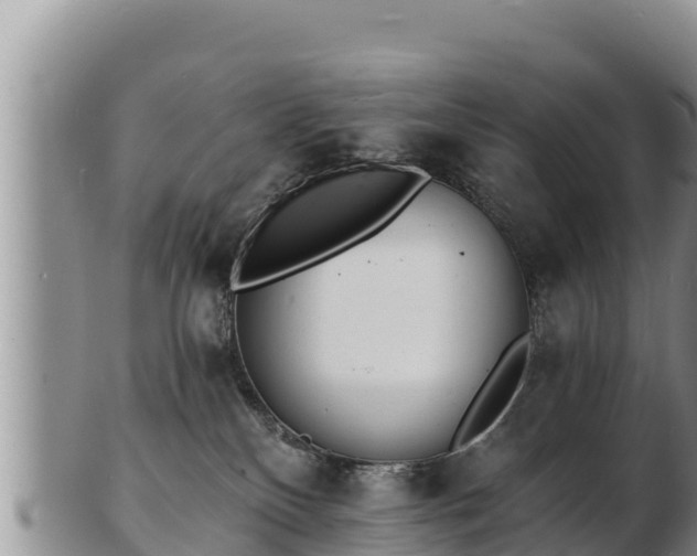 X0000103300136200809051531