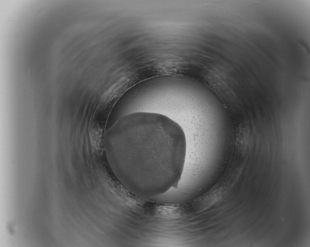 X0000103300139200809051531