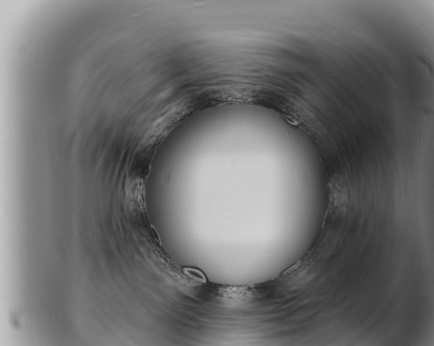 X0000103300141200809051531