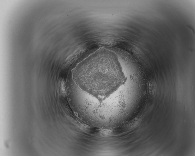 X0000103300143200809051531