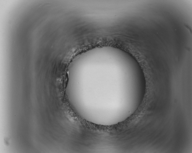 X0000103300144200809051531