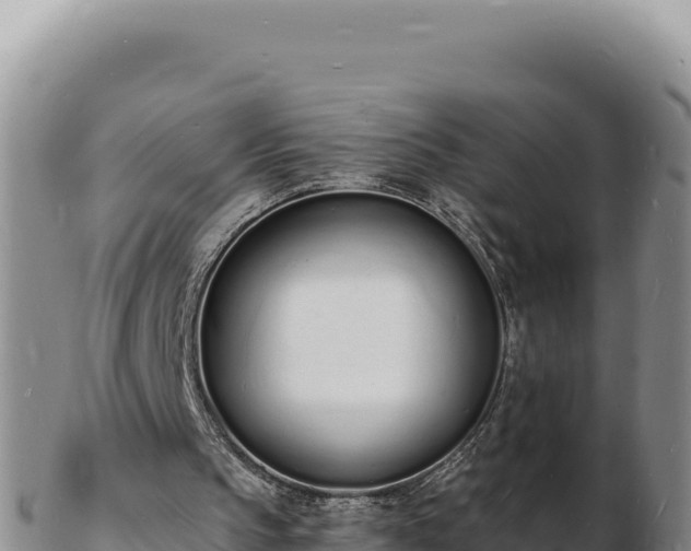 X0000103300145200809051530