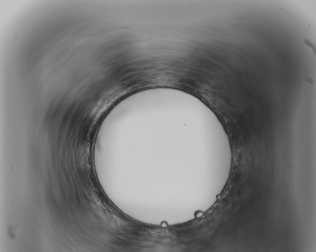 X0000103300146200809051530