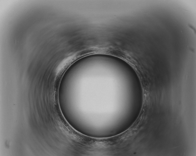 X0000103300149200809051530