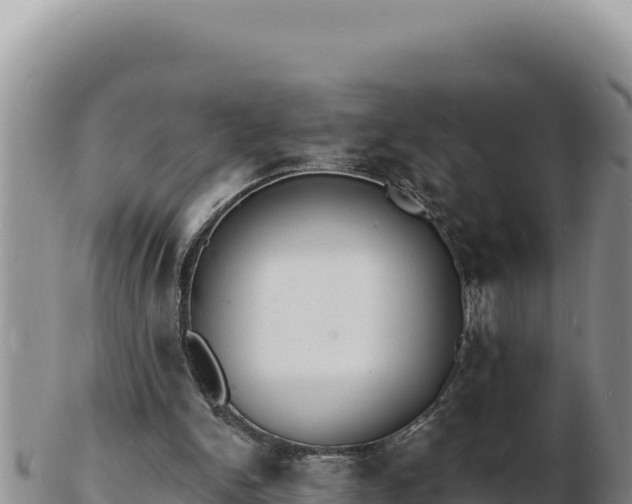 X0000103300150200809051530