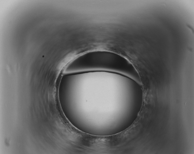 X0000103300152200809051530