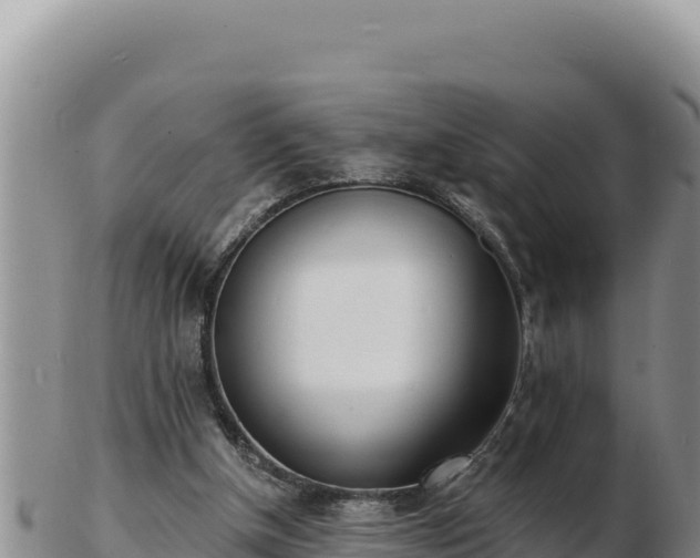 X0000103300154200809051530