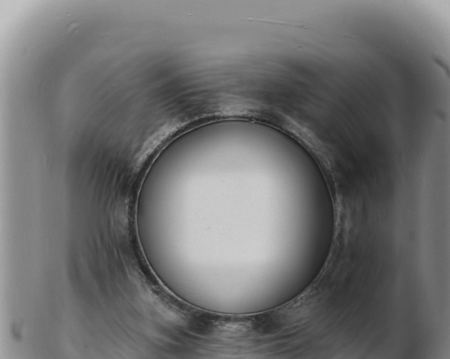 X0000103300155200809051530