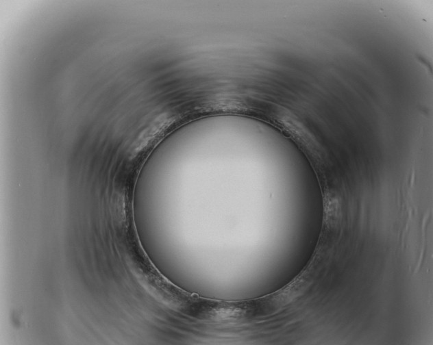 X0000103300158200809051530