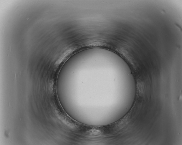 X0000103300159200809051530