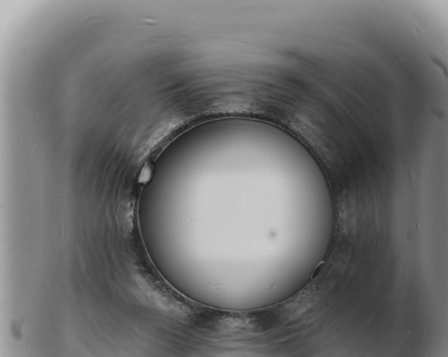 X0000103300160200809051530