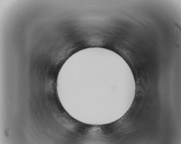 X0000103300162200809051530