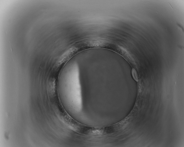 X0000103300163200809051530