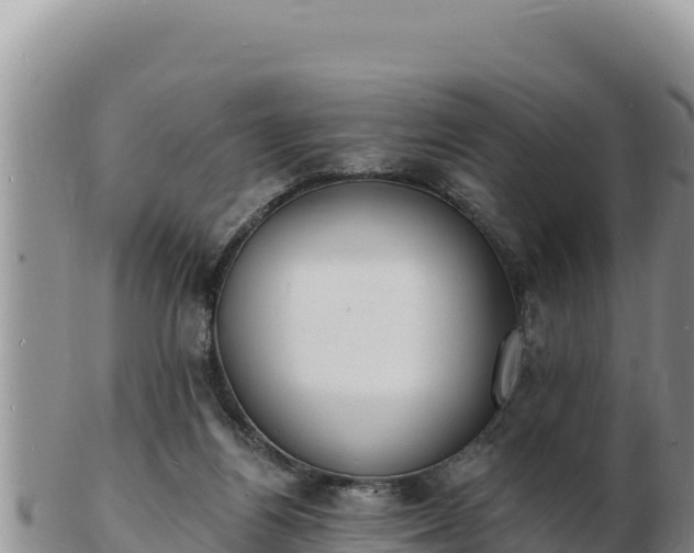 X0000103300164200809051530