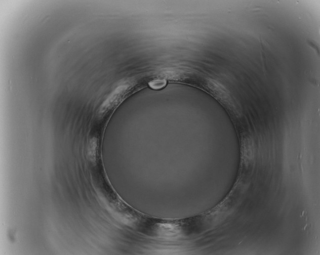 X0000103300167200809051530