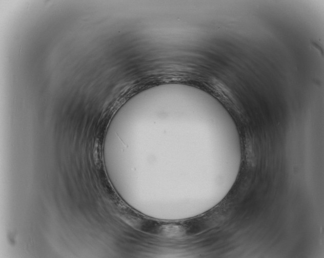 X0000103300169200809051531