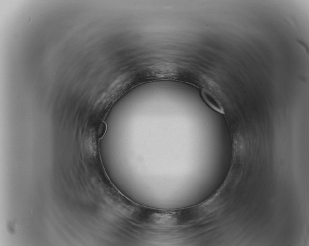 X0000103300170200809051531