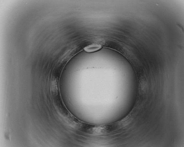 X0000103300172200809051531