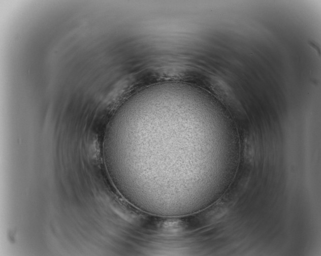 X0000103300173200809051531