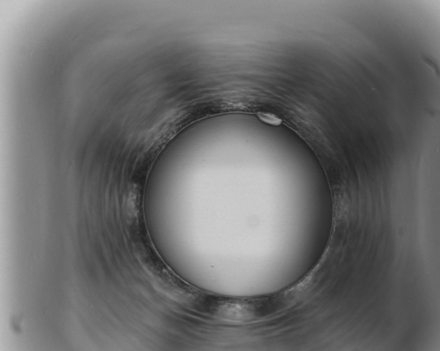 X0000103300174200809051531