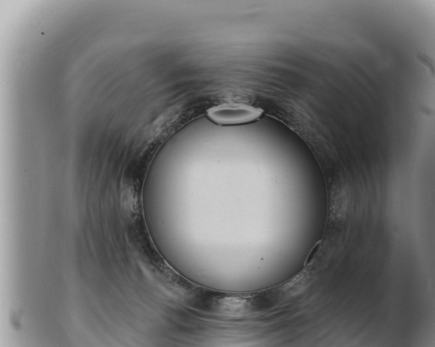 X0000103300176200809051531