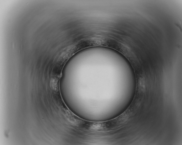 X0000103300177200809051531