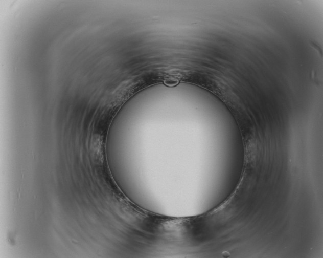 X0000103300178200809051531