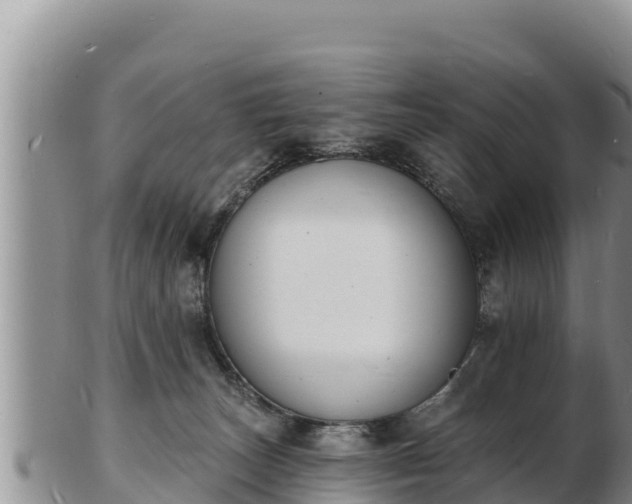 X0000103300179200809051531