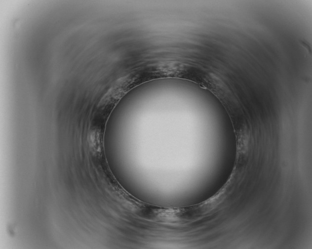 X0000103300182200809051531