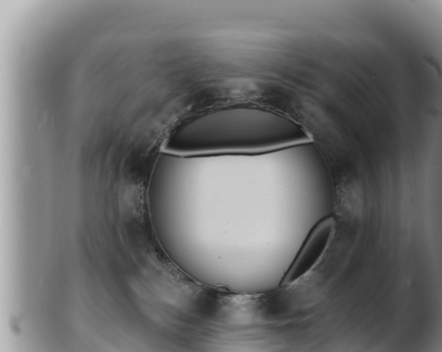 X0000103300184200809051531