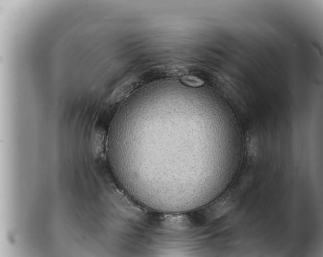 X0000103300185200809051531