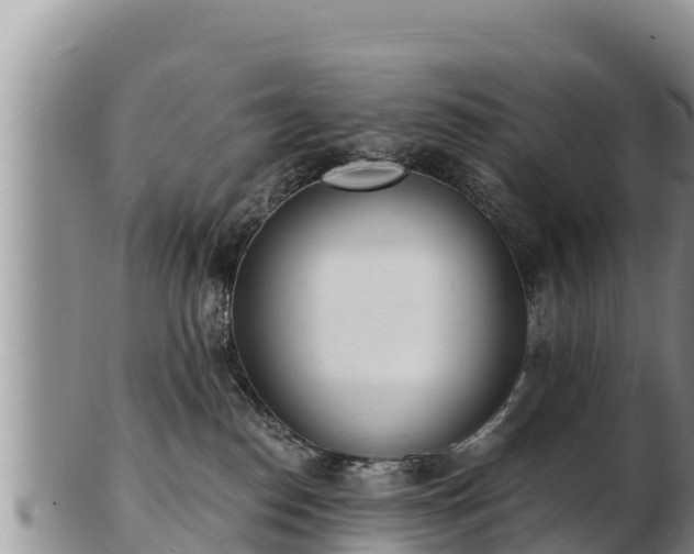 X0000103300186200809051531