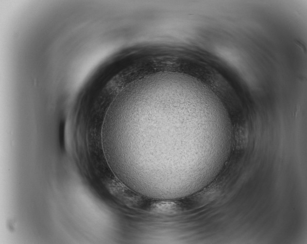 X0000103300189200809051531