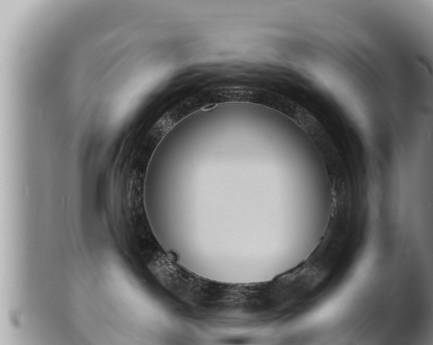 X0000103300190200809051531