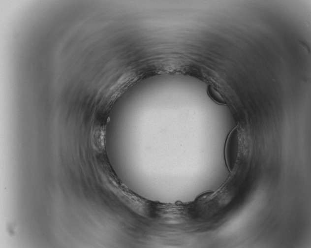 X0000103300191200809051531