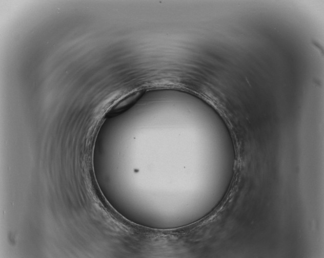 X0000103300193200809051530