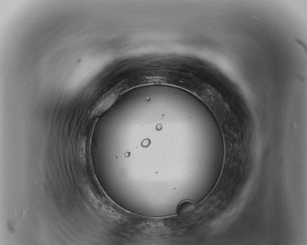 X0000103300194200809051530