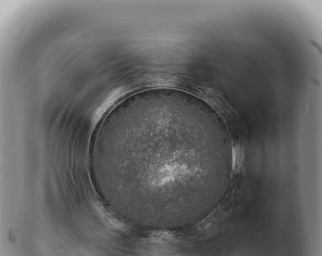 X0000103300195200809051530