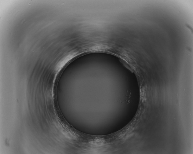 X0000103300196200809051530