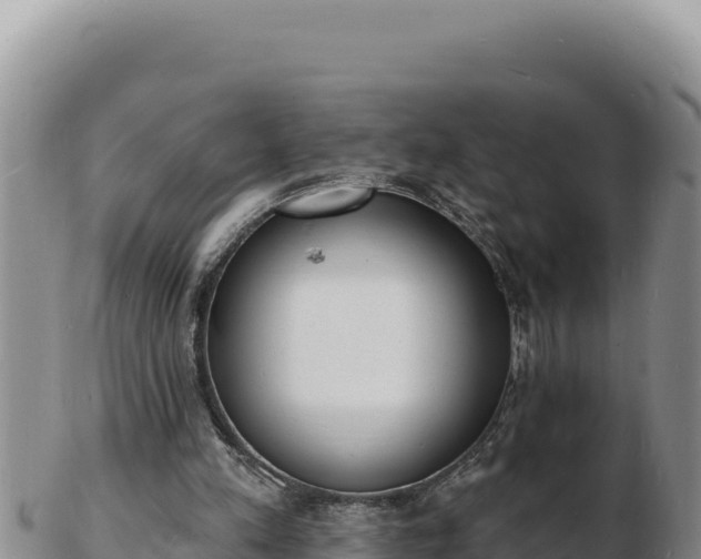 X0000103300197200809051530