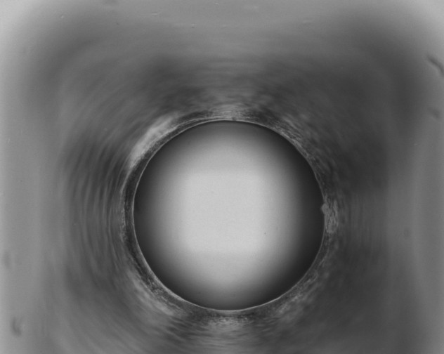 X0000103300198200809051530